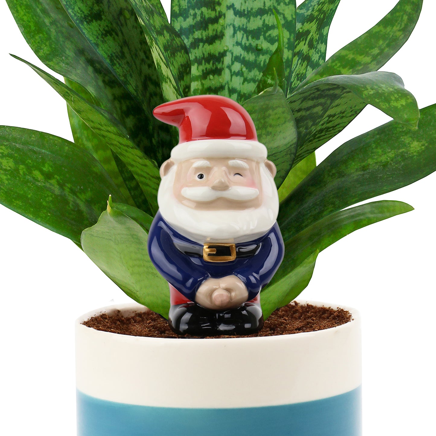 Naughty peeing garden gnome waterer