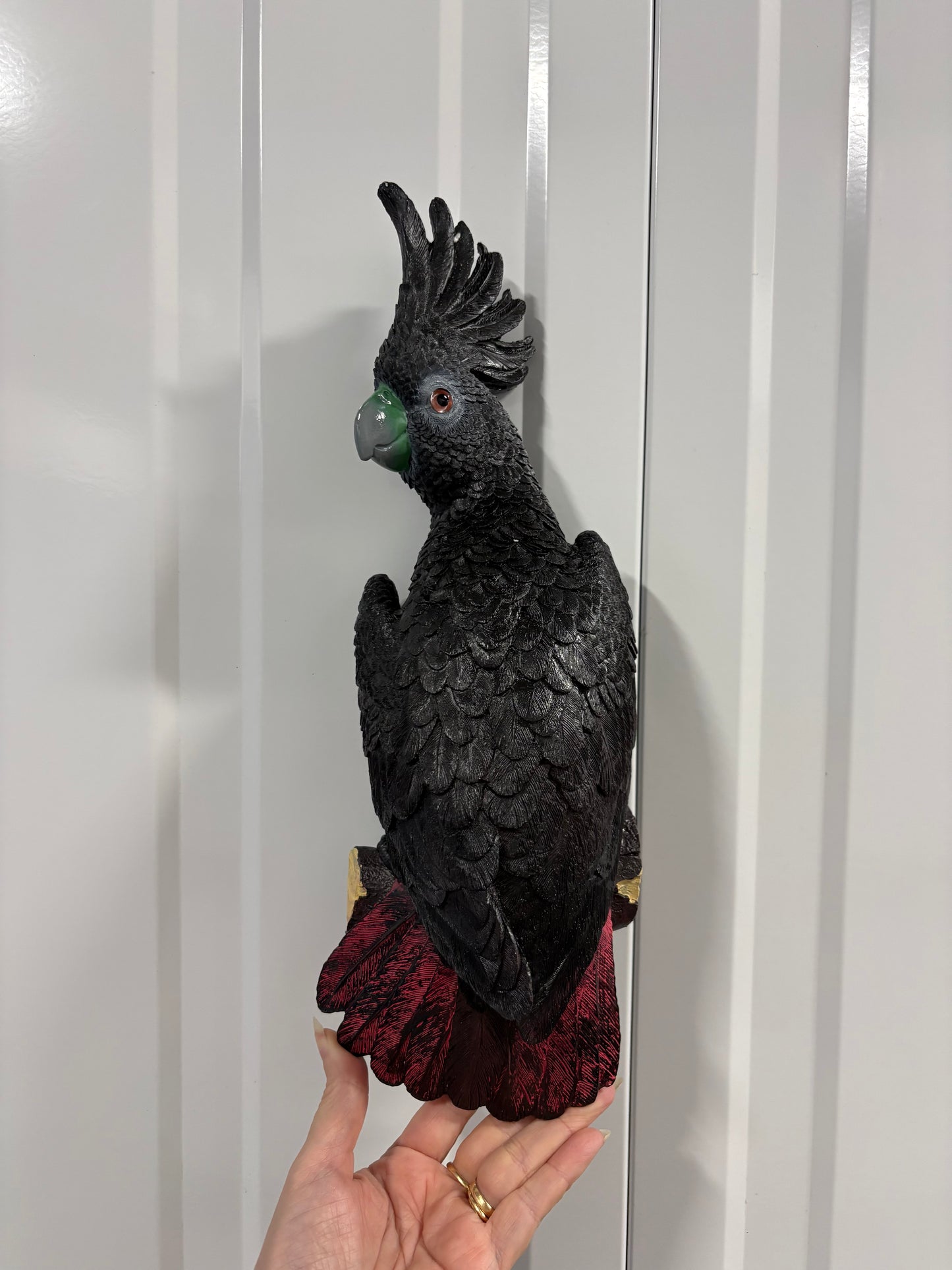 Red tail Black cockatoo or Yellow crested cockatoo bird wall hanging
