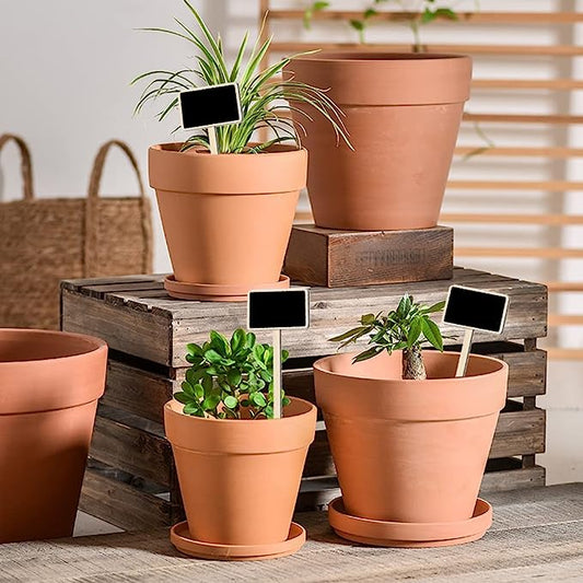 Plant lover stakes / markers DIY message