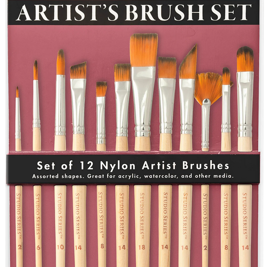 Artist paint brush set
