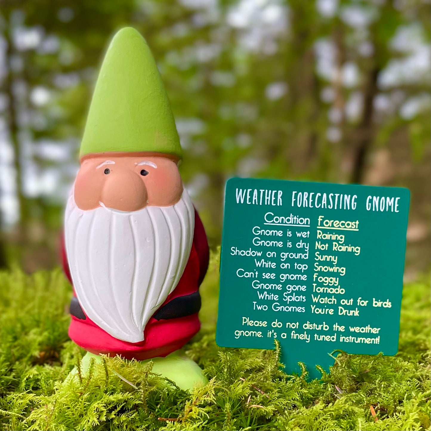 Weather telling garden gnome