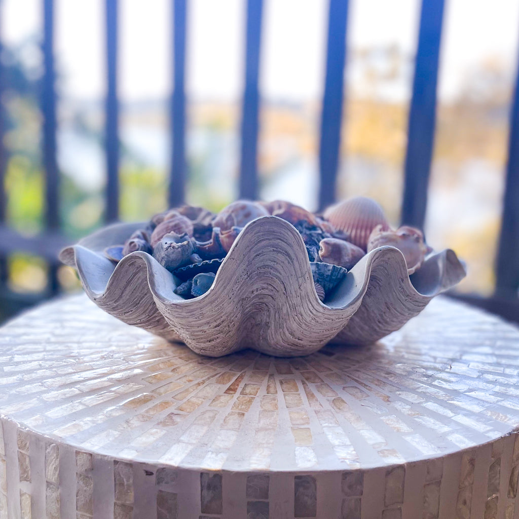 Coastal decor clam shell bowl / tray