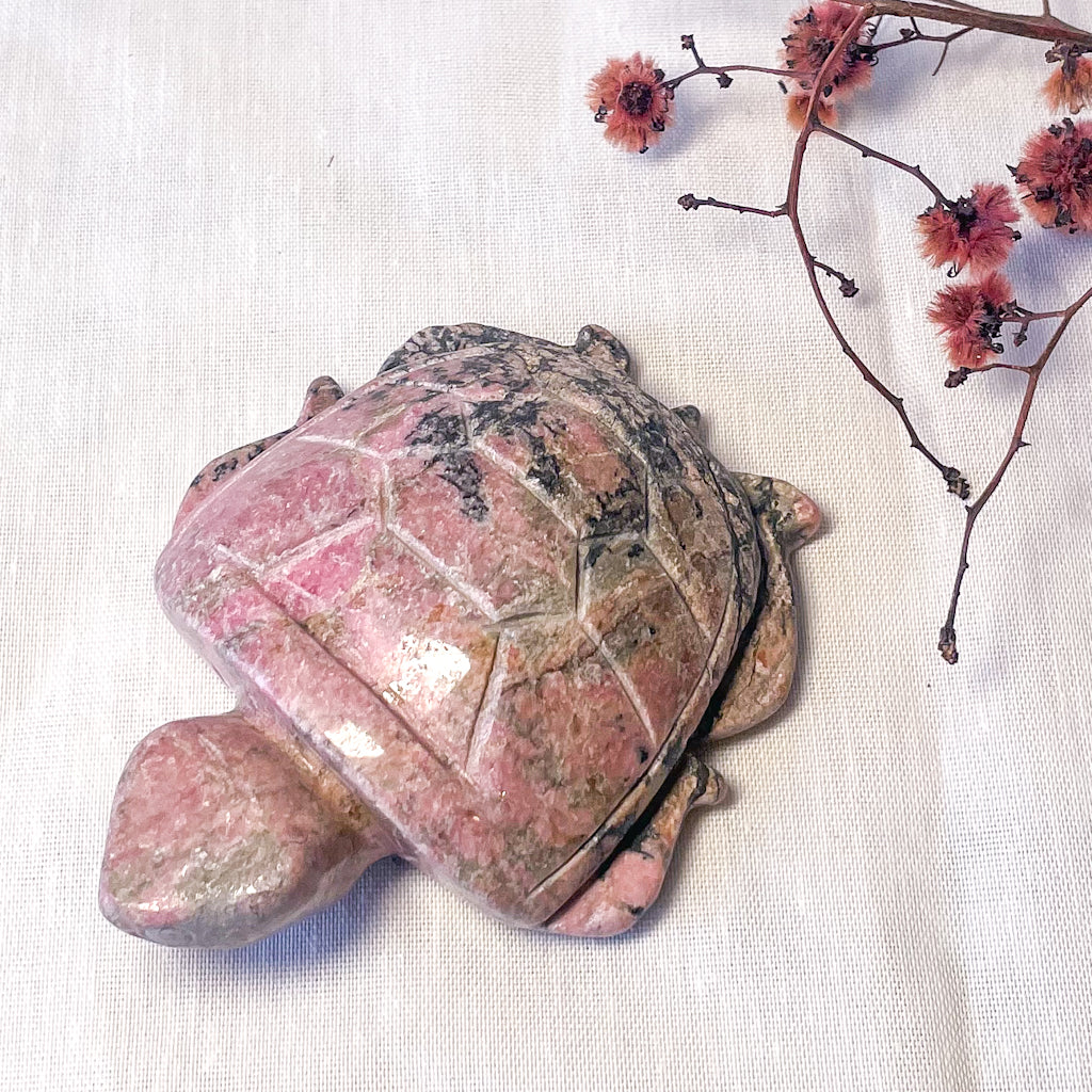 Pink rhodonite crystal turtle statue