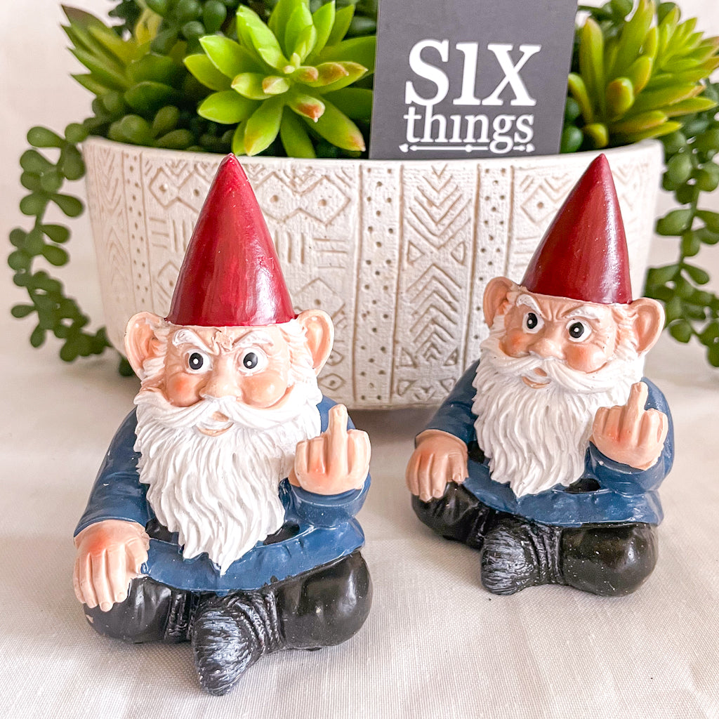 Fuk off rude finger garden gnome S