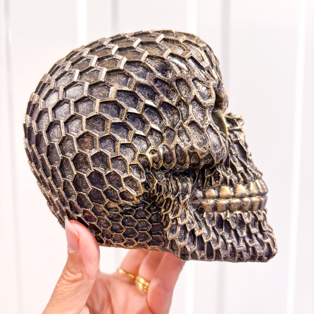 Chain link Skull brass statue
