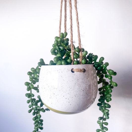 Olive and cream ceramic hanging planter pot