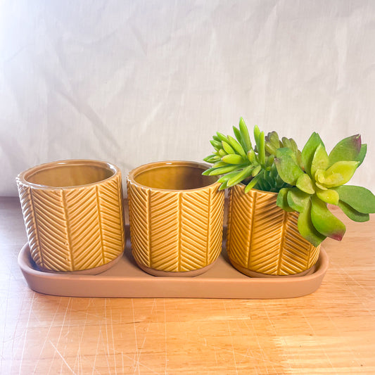 Honey ceramic planter pot - single or set