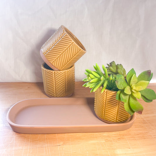 Mustard yellow ceramic planter pot set