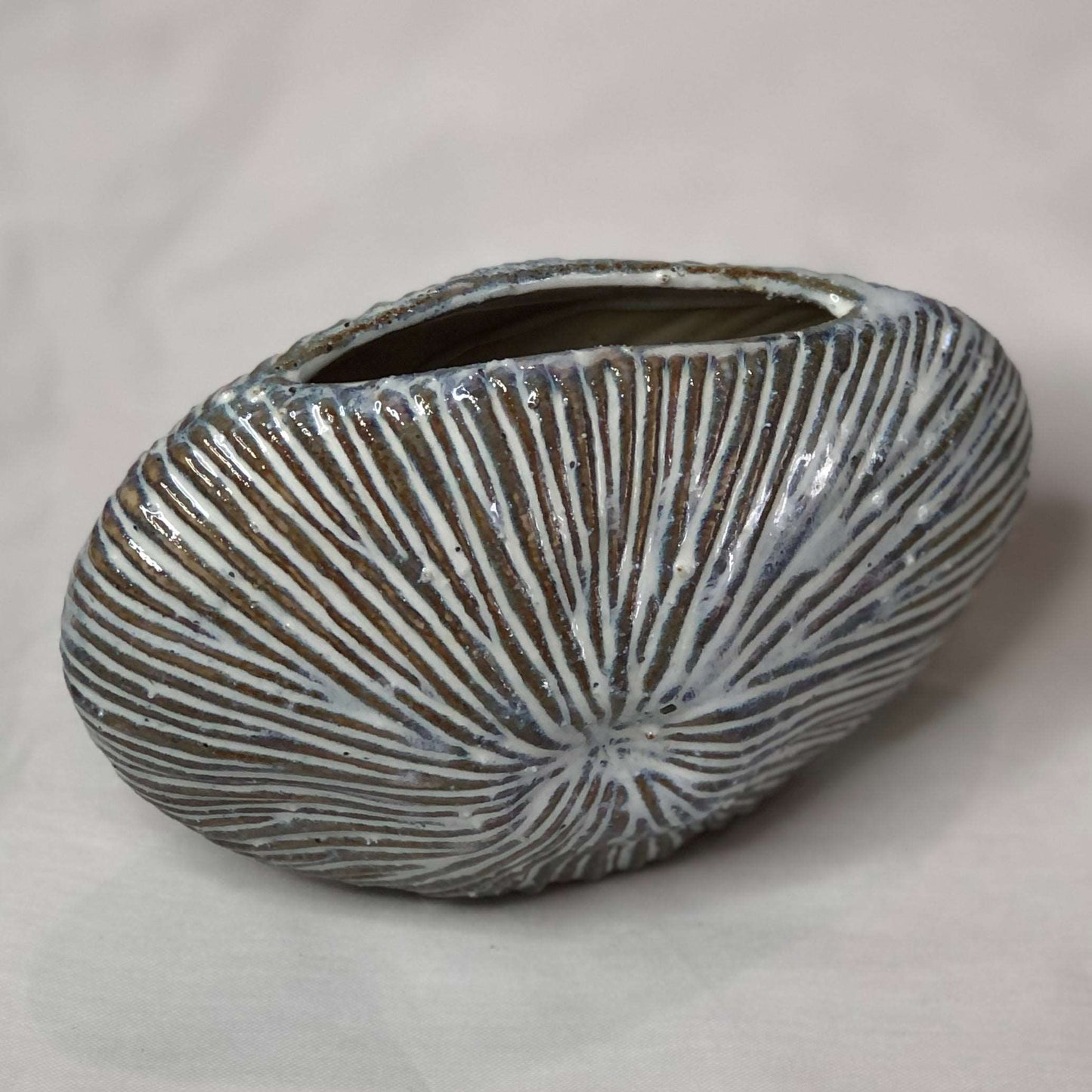 Coastal vibes sea urchin vase