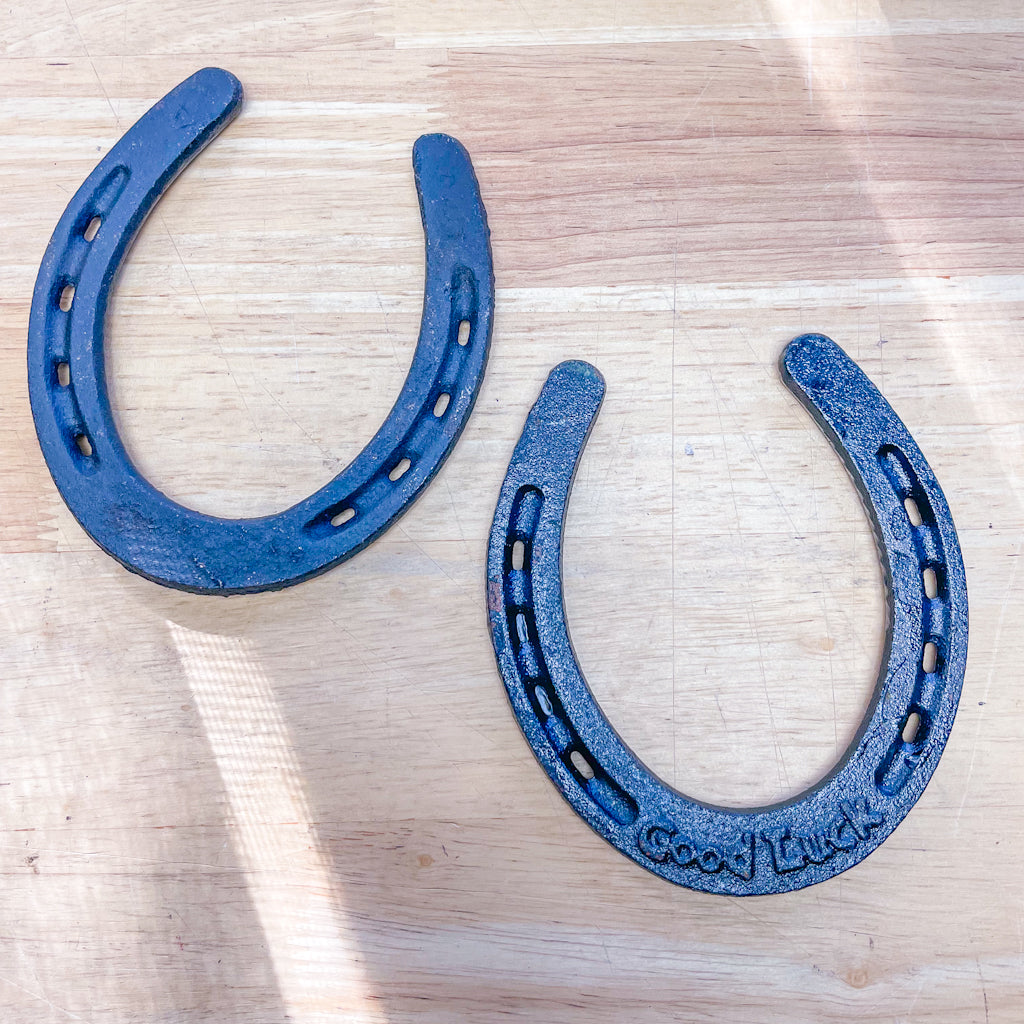 Horseshoe good luck vintage cast iron statue wall hanging