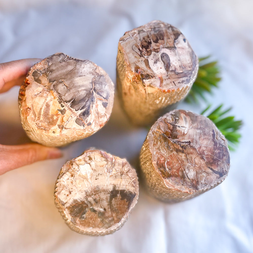 Fossilised wood log / jurassic crystal / petrified wood branch statue