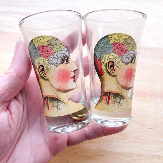 Phrenology & palmistry shot glass tequila set