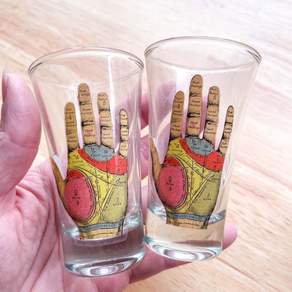 Phrenology & palmistry shot glass tequila set