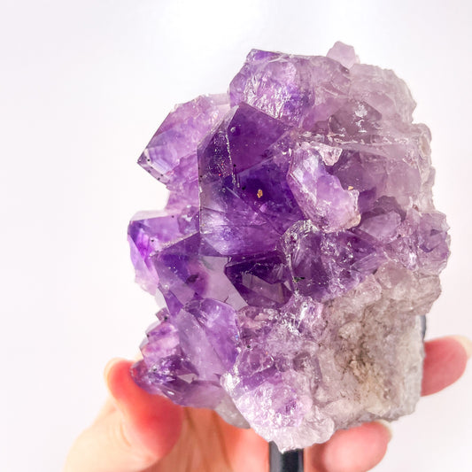 Amethyst A grade crystal cluster on stand 690g
