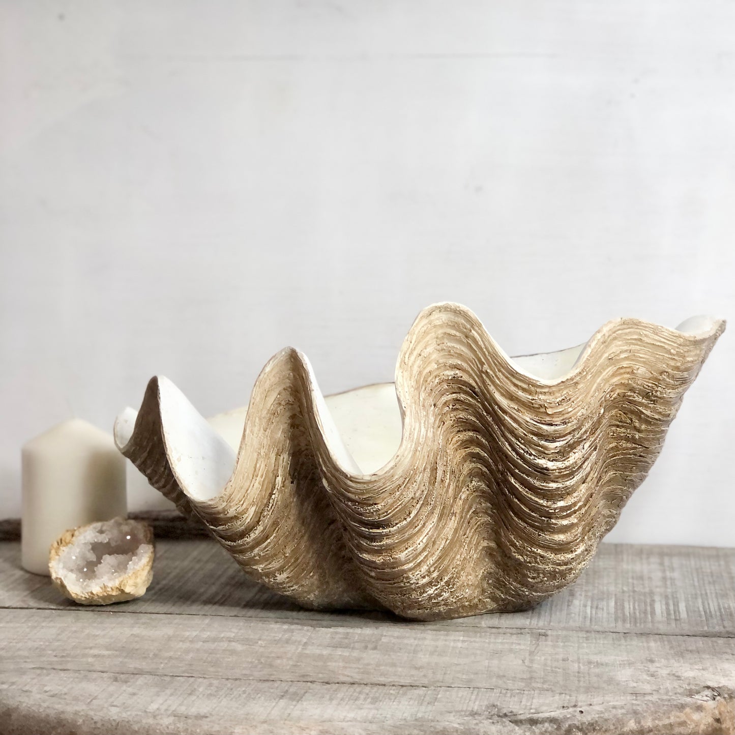 Coastal decor clam shell bowl planter - XL