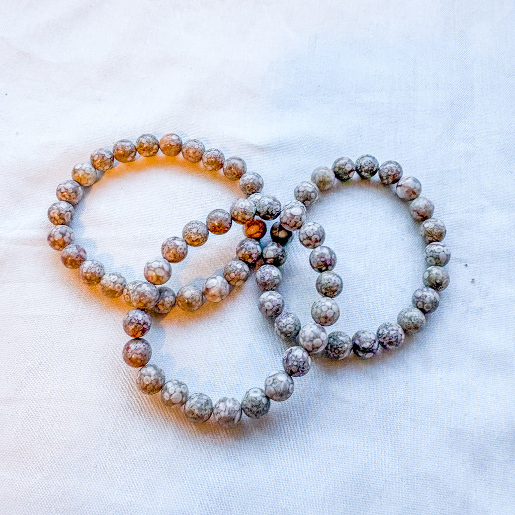 Coral fossil jasper crystal bead bracelet