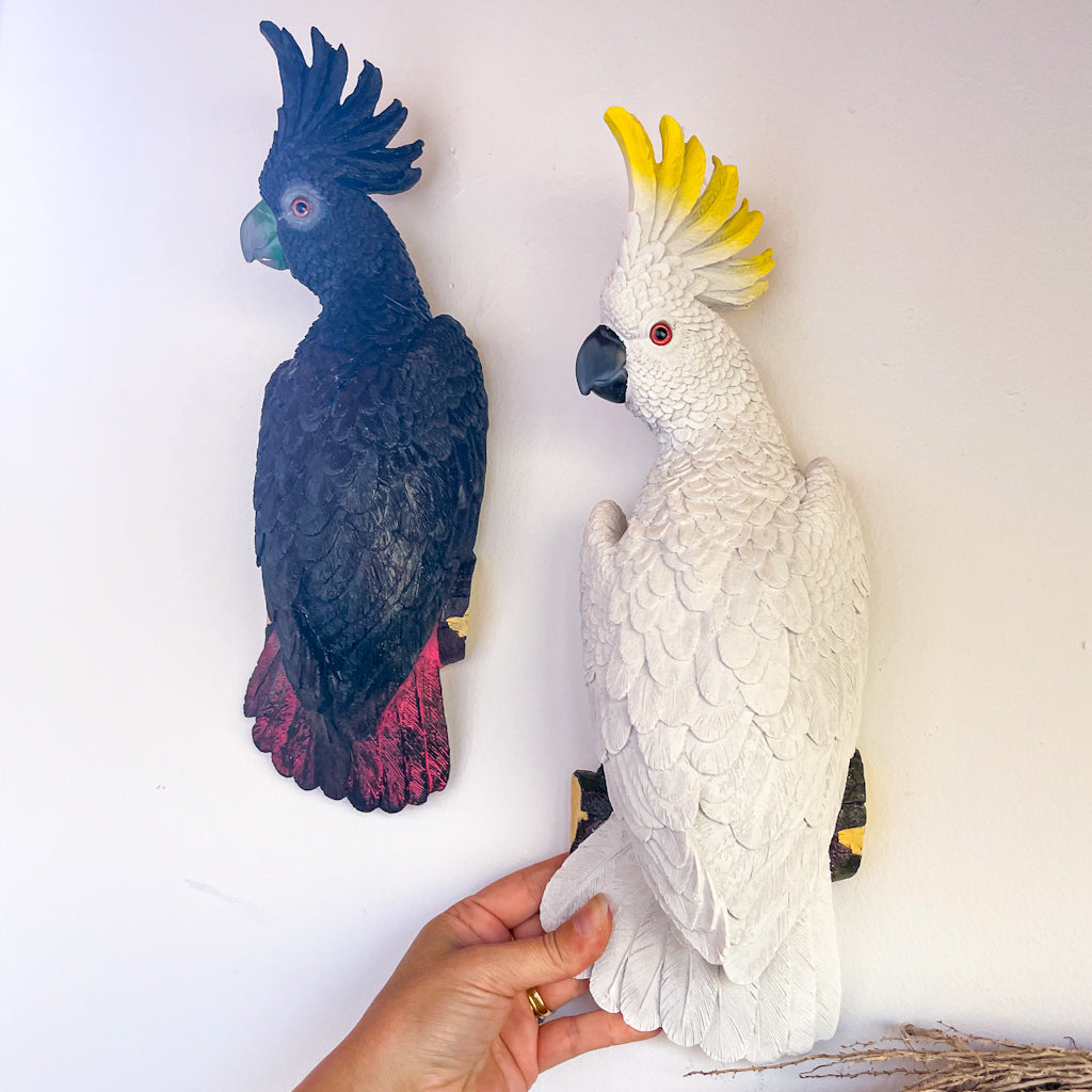 Red tail Black cockatoo or Yellow crested cockatoo bird wall hanging