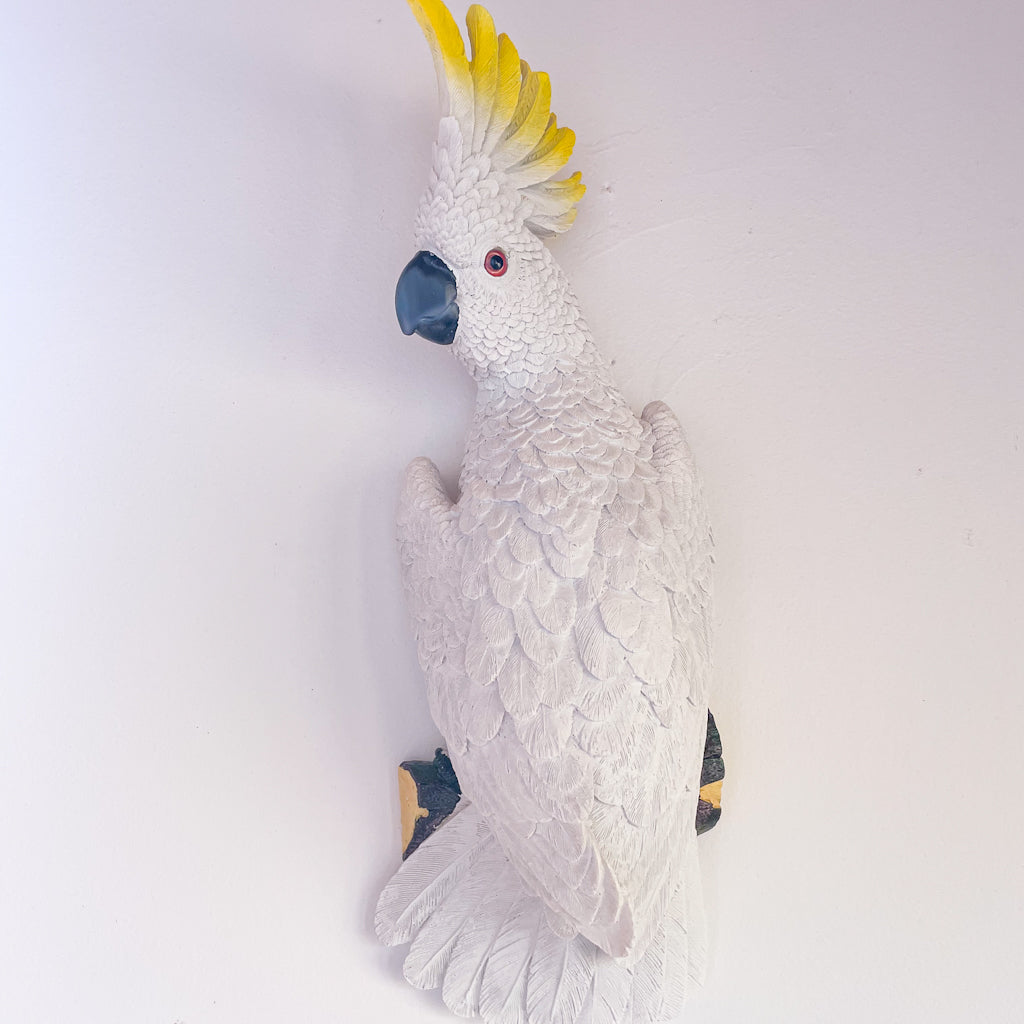 Red tail Black cockatoo or Yellow crested cockatoo wall hanging