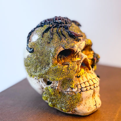 Scorpion moss skull statue