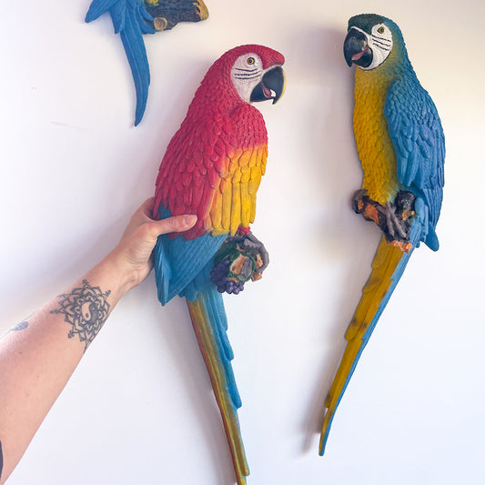 Large colourful Caribbean Macaw parrot wall hanging
