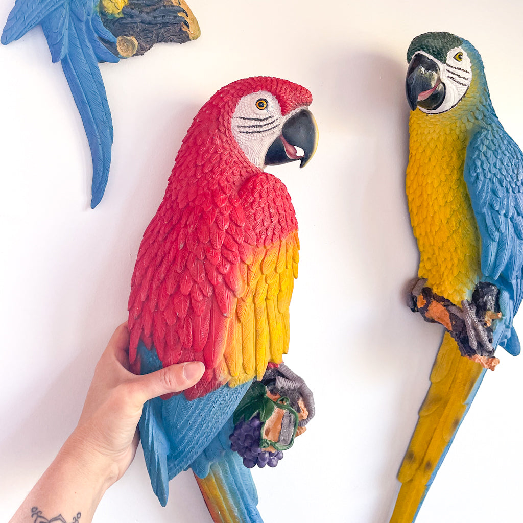 Large colourful Caribbean Macaw parrot wall hanging