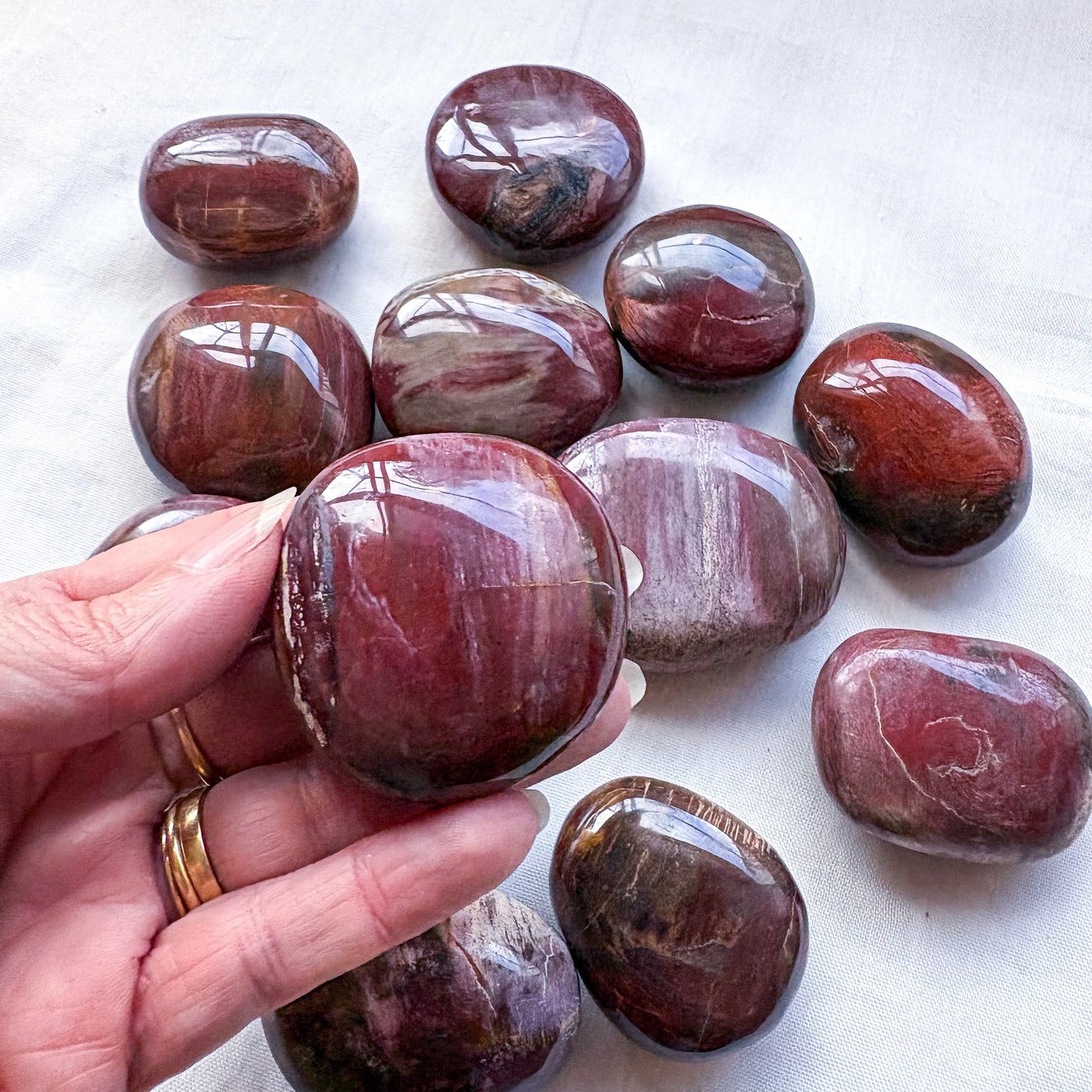 Fossilised wood palm stones