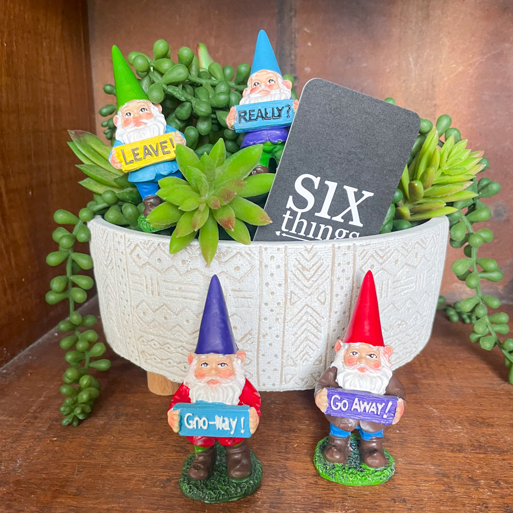 Naughty gnomes with signs plant lover mini statues