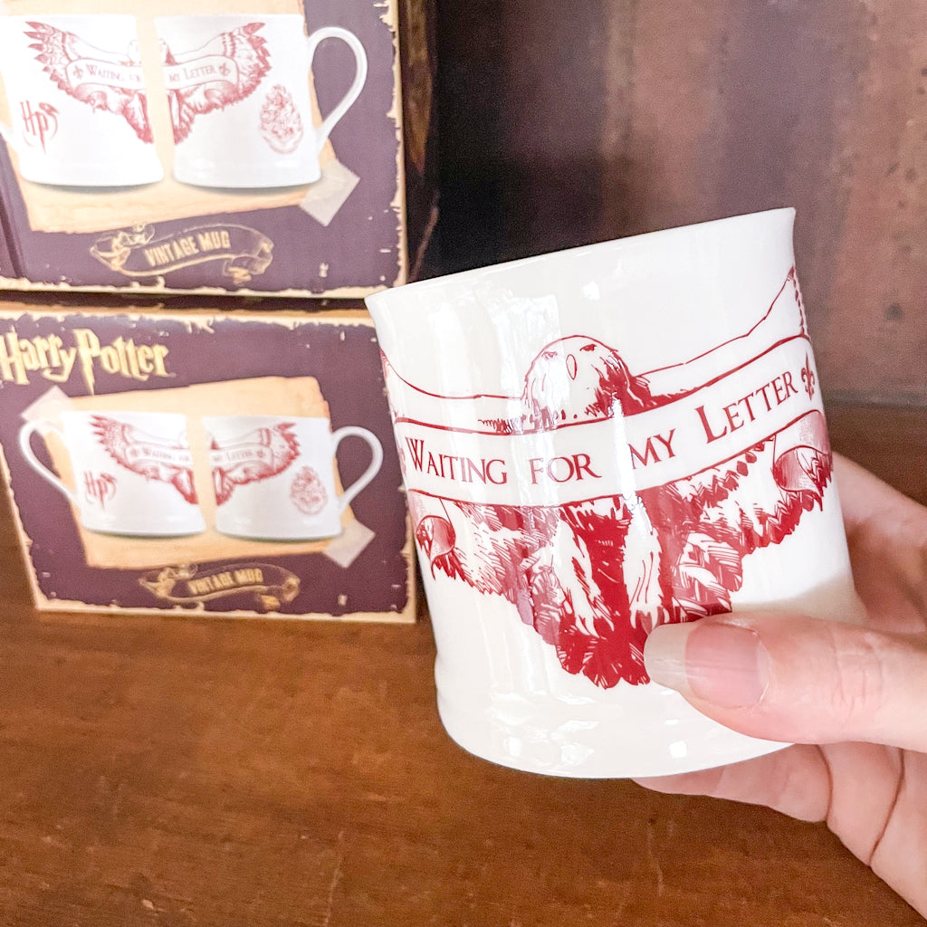 Harry Potter waiting for Hogwarts letter mug