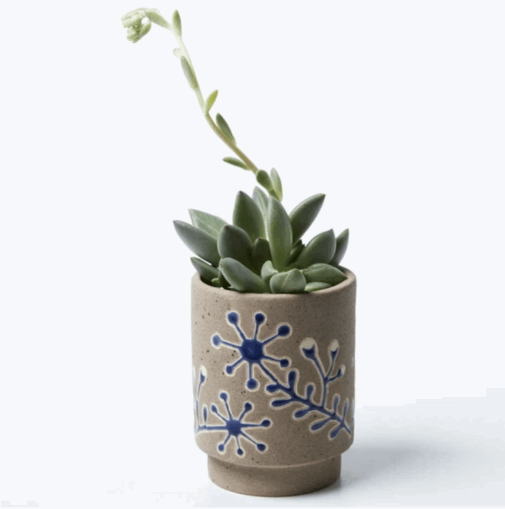 Australian native flora & animal hand made glazed clay plant pot