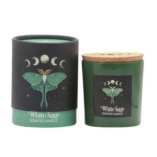 White sage moth glass candle
