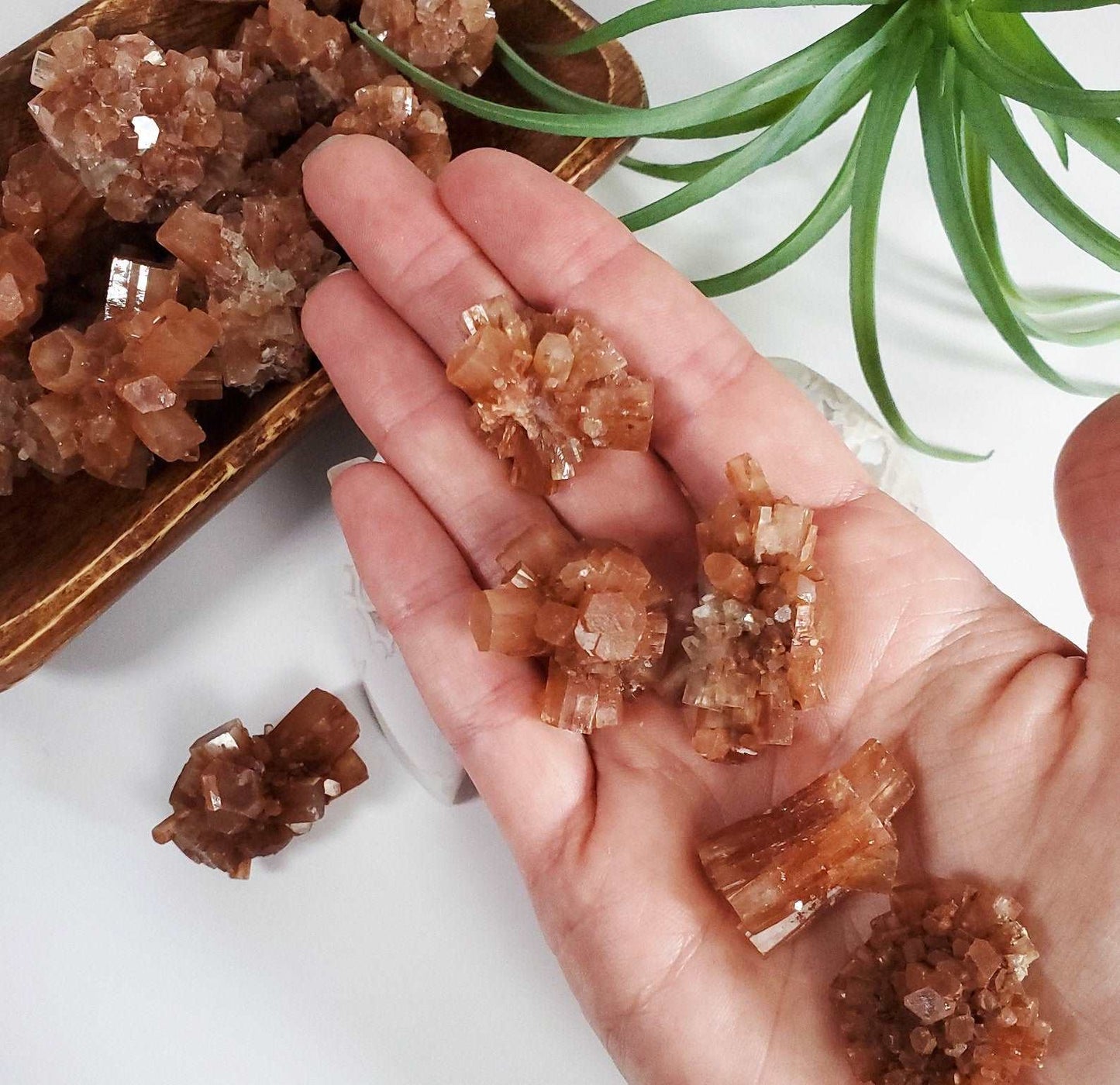 Aragonite sputnik star crystal cluster