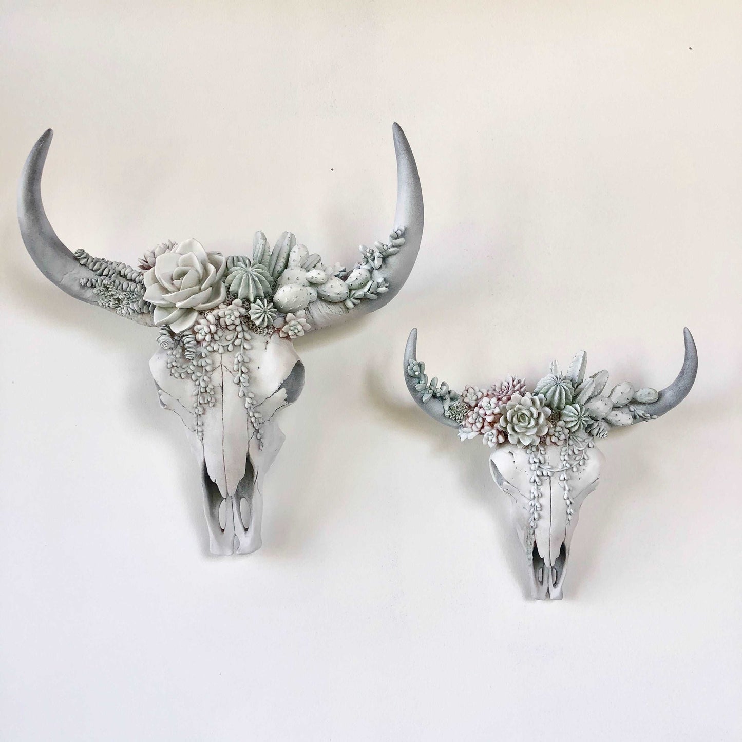 Bohemian succulent crown cow / bull skull wall hanging