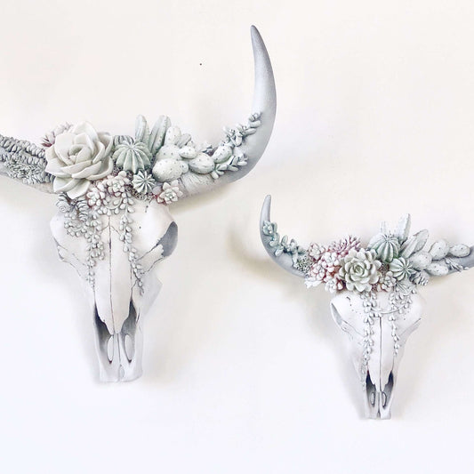 Bohemian succulent crown cow / bull skull wall hanging