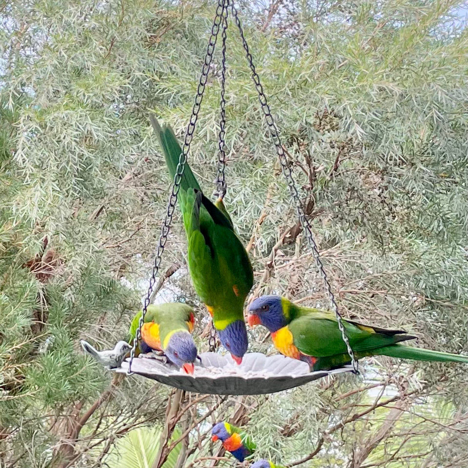 Sunflower Bird feeder hanging pot