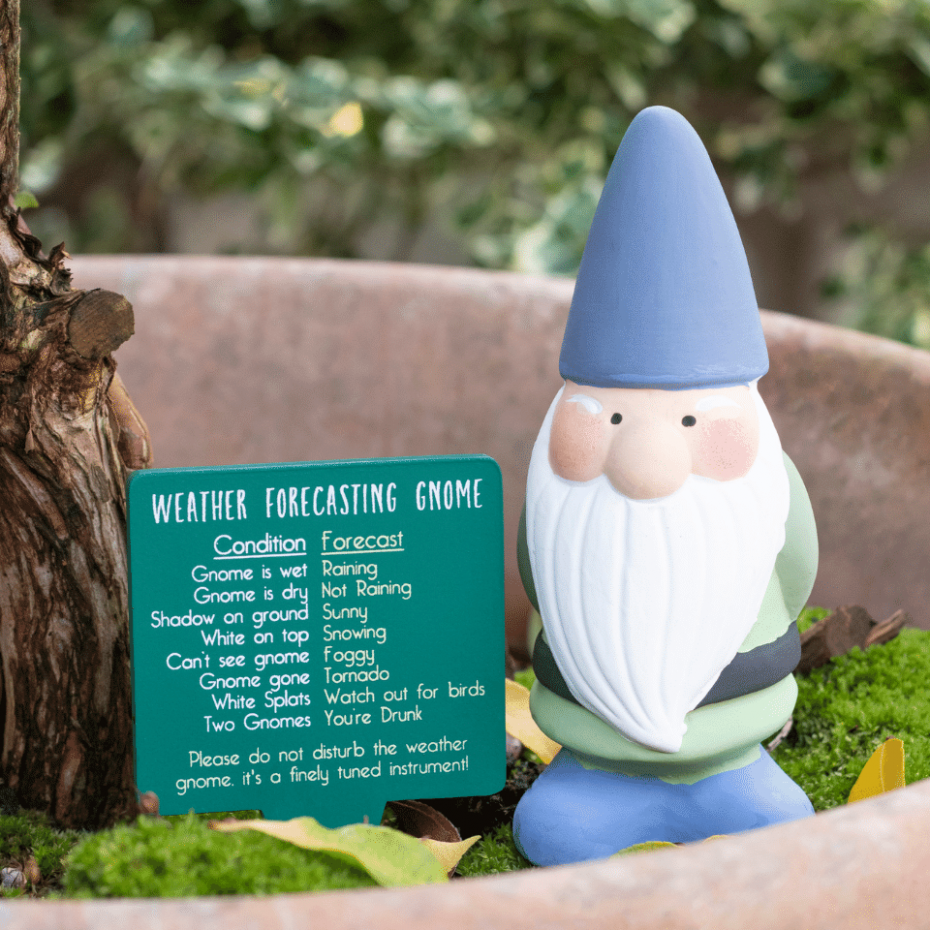Weather telling garden gnome