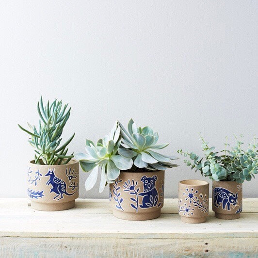 succulent pot in australia Australian native flora & animal hand made glazed clay plant pot – Six Things Shop Australia