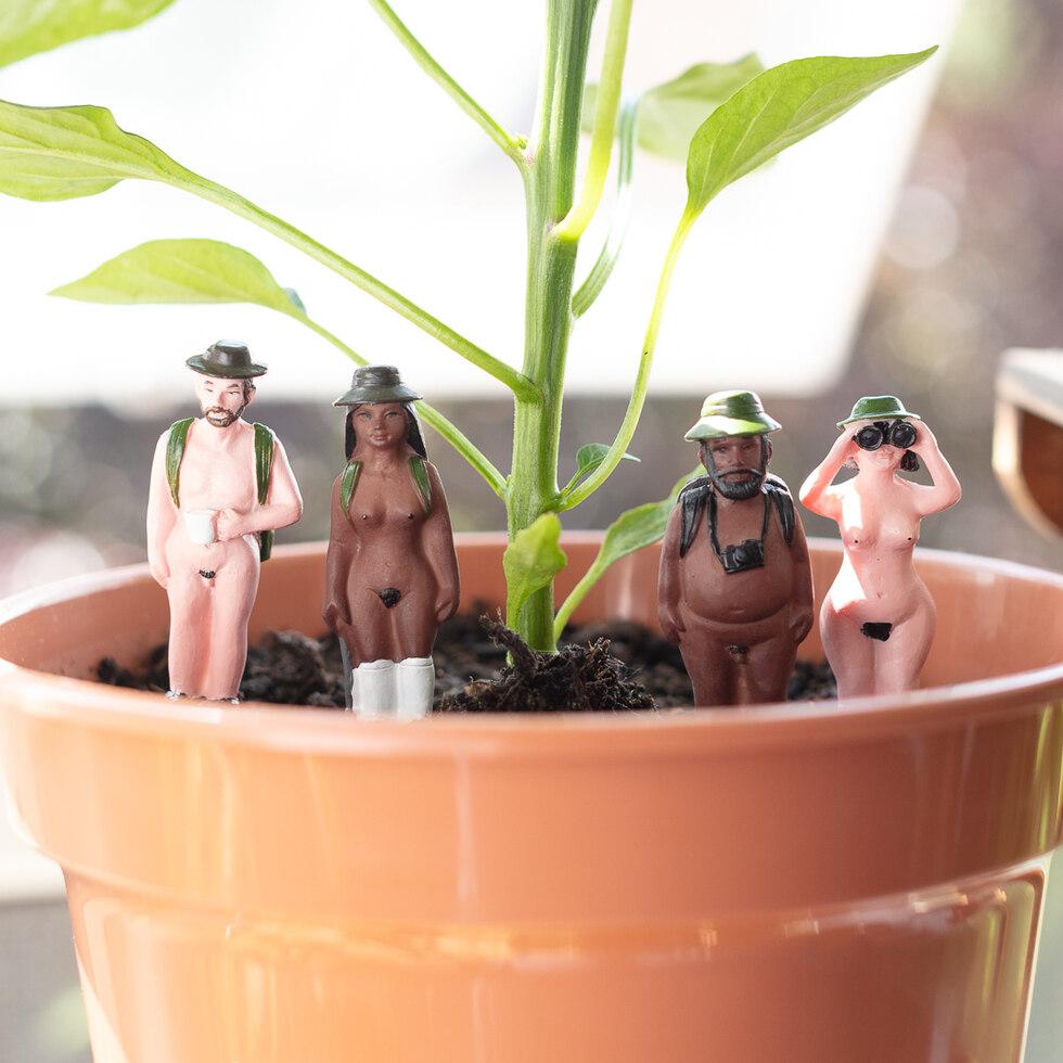 Naked gnomes / naked ramblers / nudist plant lover mini statues