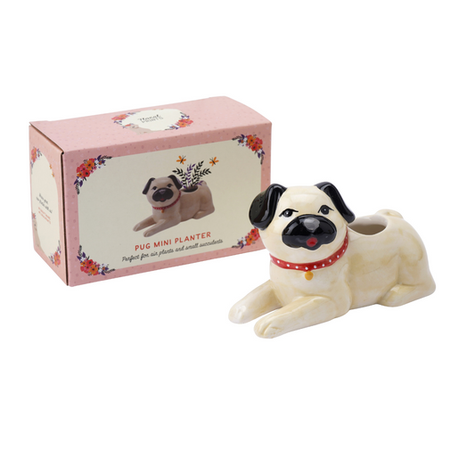 Puppy pug dog plant pot