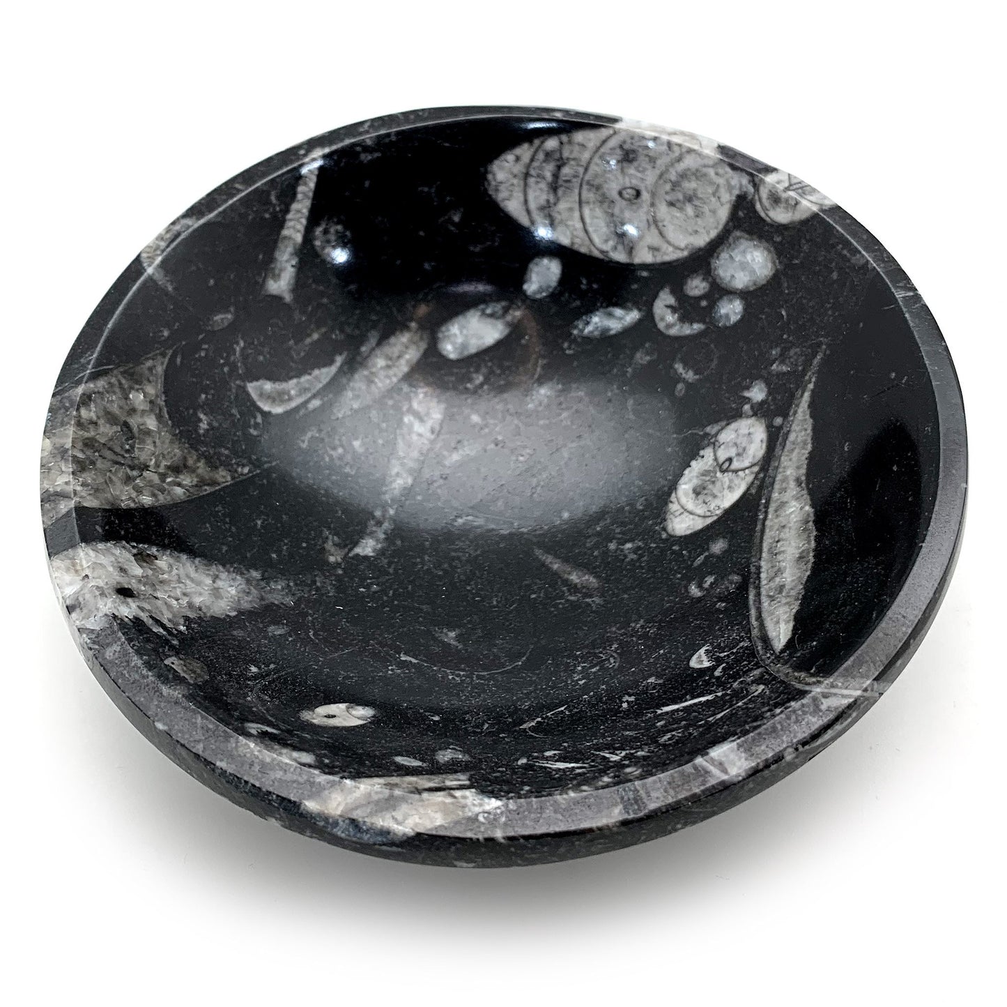 Fossil bowl / crystal carved trinket dish