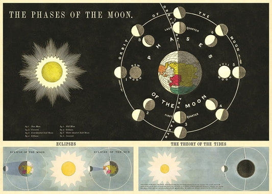 Phases of the moon / cosmic vintage chart poster print