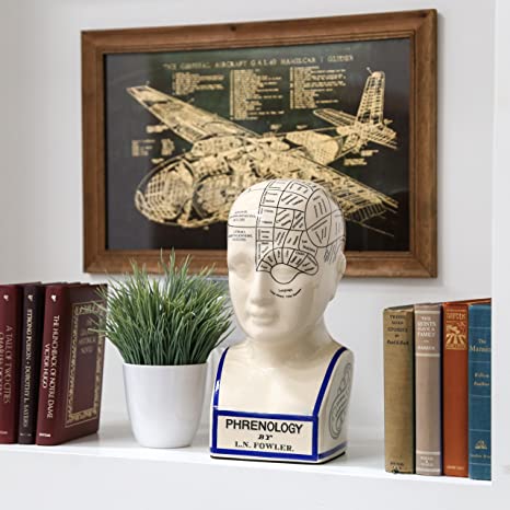 Phrenology head vintage ceramic curious bust statue