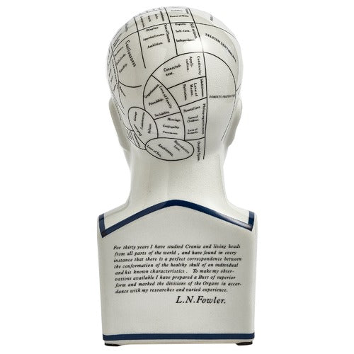 Phrenology head vintage ceramic curious bust statue