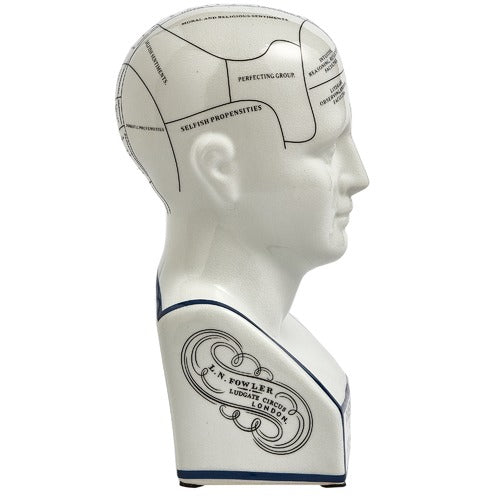 Phrenology head vintage ceramic curious bust statue