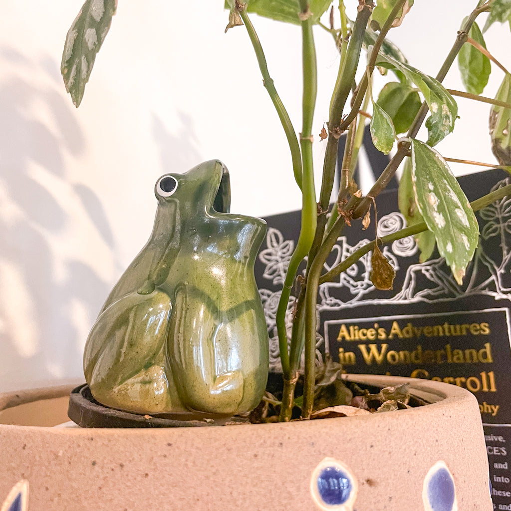 frog self watering planter Self watering froggie planter pot water spike – Six Things Shop Australia
