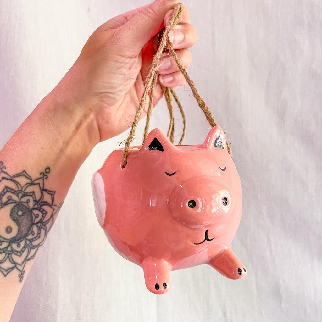 Pigs might fly hanging planter pot