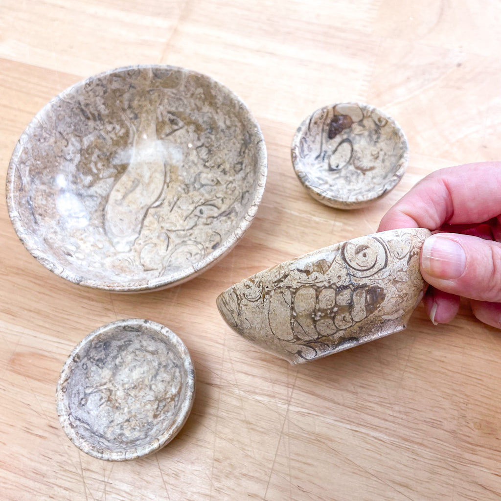 Fossil coral bowl / crystal carved trinket dish