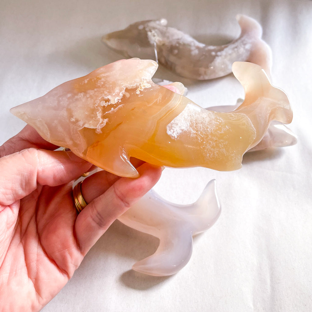 Flower agate crystal carved spirit animal - dolphin