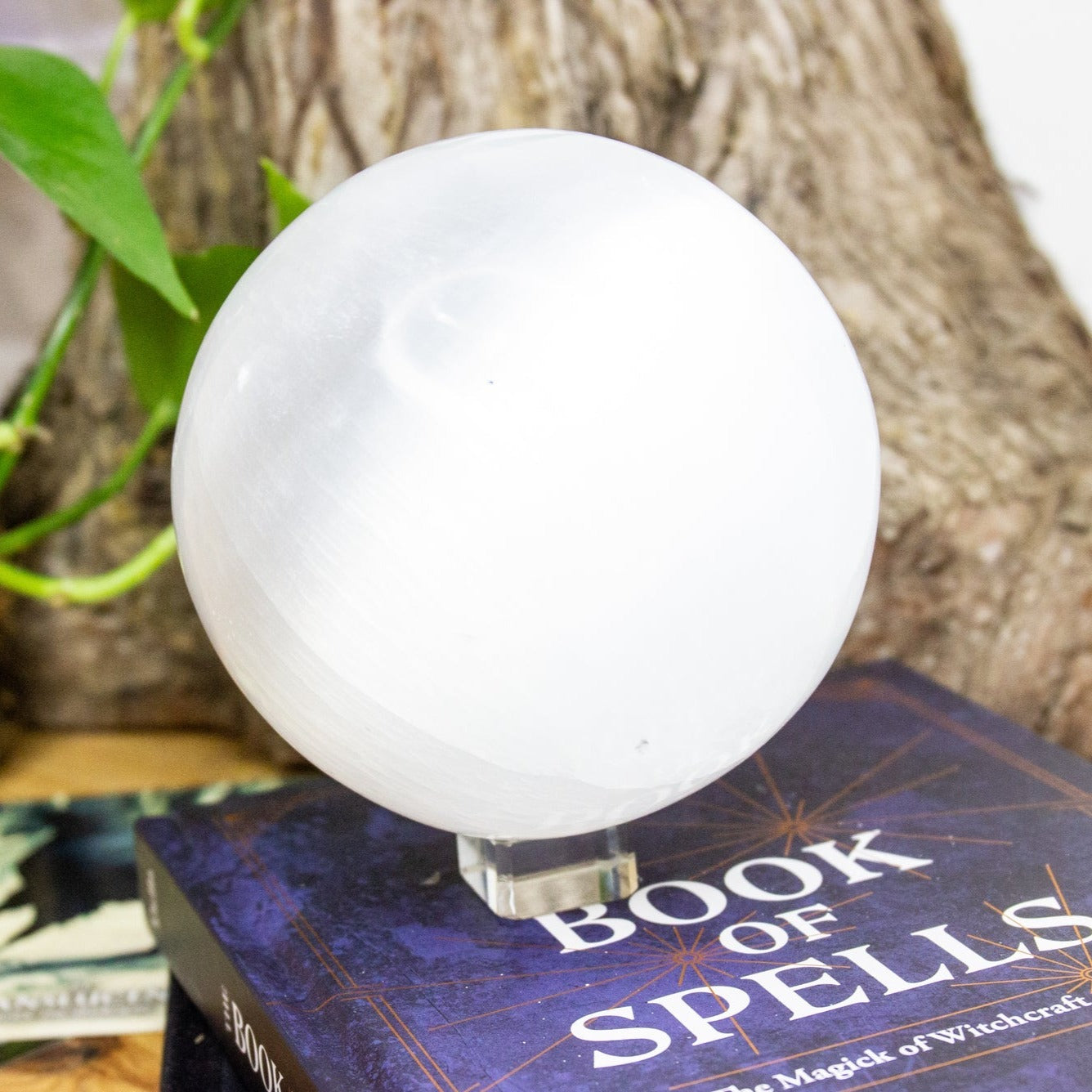 Moon gypsy fortune teller polished selenite crystal sphere L-XL