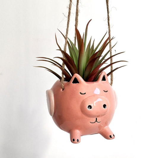 Pigs might fly hanging planter pot