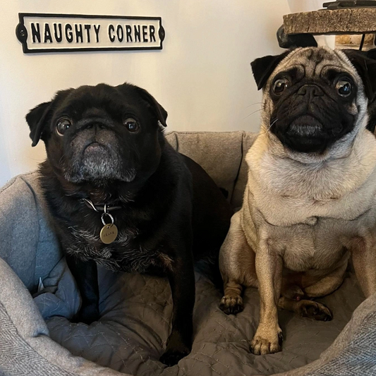 Naughty corner cast iron wall sign